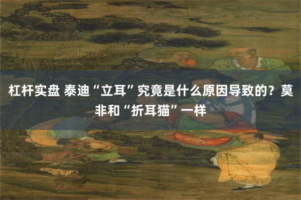 杠杆实盘 泰迪“立耳”究竟是什么原因导致的？莫非和“折耳猫”一样