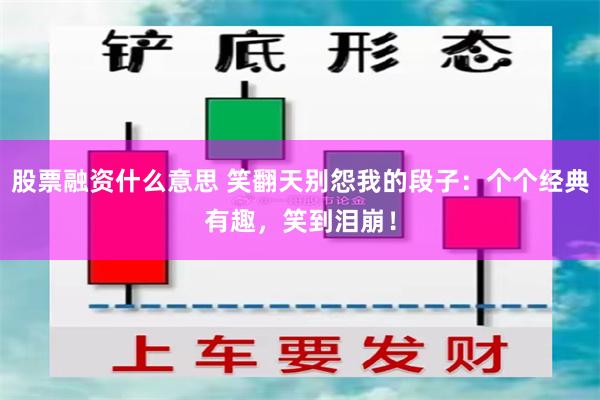 股票融资什么意思 笑翻天别怨我的段子：个个经典有趣，笑到泪崩！