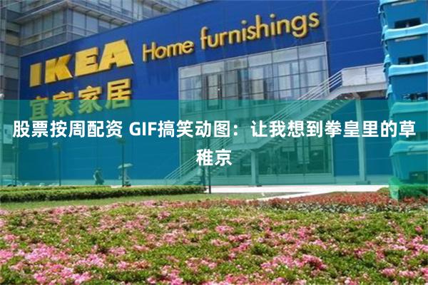 股票按周配资 GIF搞笑动图：让我想到拳皇里的草稚京