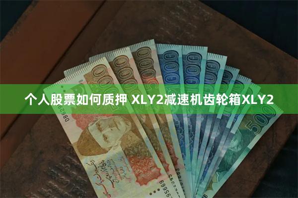 个人股票如何质押 XLY2减速机齿轮箱XLY2