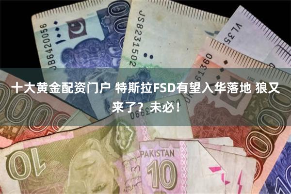 十大黄金配资门户 特斯拉FSD有望入华落地 狼又来了？未必！