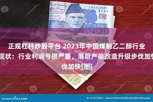 正规杠杆炒股平台 2023年中国煤制乙二醇行业发展现状：行业利润亏损严重，落后产能改造升级步伐加快[图]