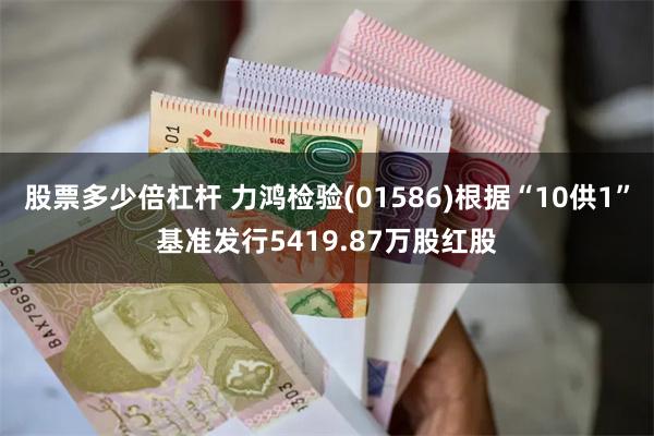 股票多少倍杠杆 力鸿检验(01586)根据“10供1”基准发行5419.87万股红股