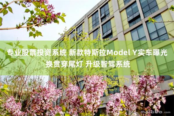 专业股票投资系统 新款特斯拉Model Y实车曝光 换贯穿尾灯 升级智驾系统