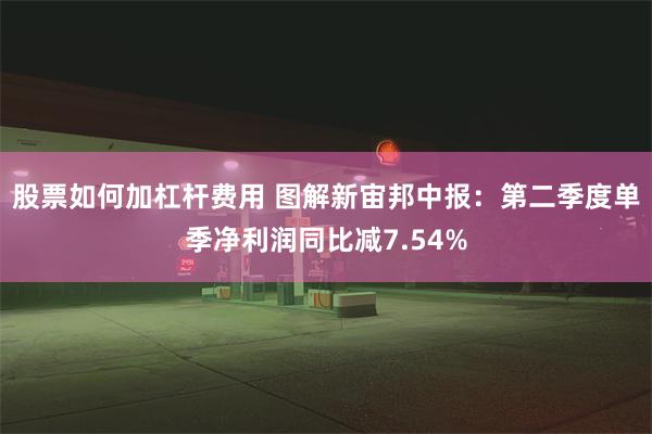 股票如何加杠杆费用 图解新宙邦中报：第二季度单季净利润同比减7.54%