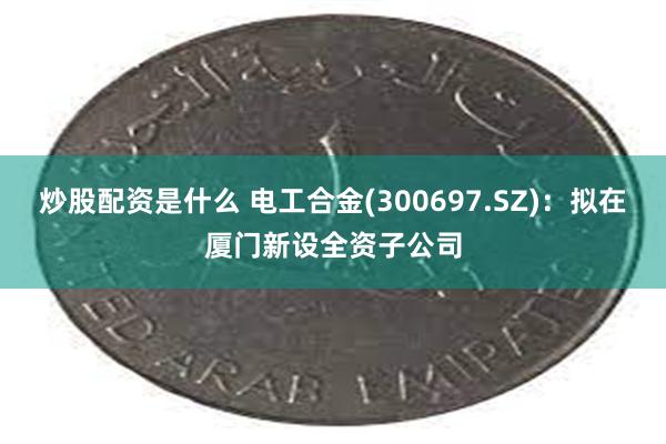 炒股配资是什么 电工合金(300697.SZ)：拟在厦门新设全资子公司