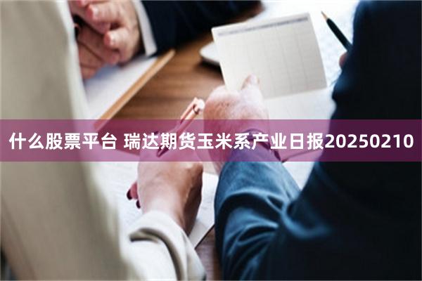 什么股票平台 瑞达期货玉米系产业日报20250210