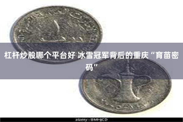 杠杆炒股哪个平台好 冰雪冠军背后的重庆“育苗密码”