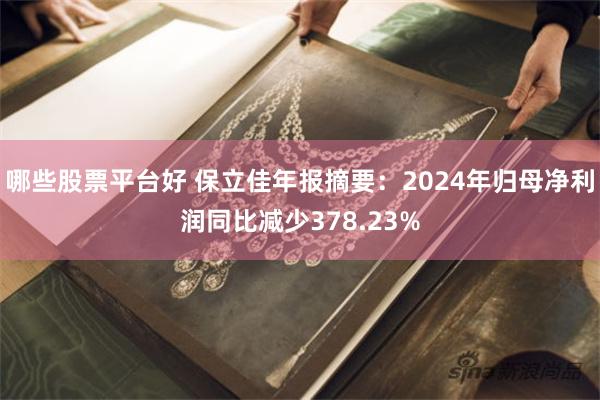 哪些股票平台好 保立佳年报摘要：2024年归母净利润同比减少378.23%